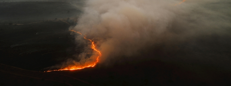 apoios incêndios rurais 2025 – apoio a famílias afetadas