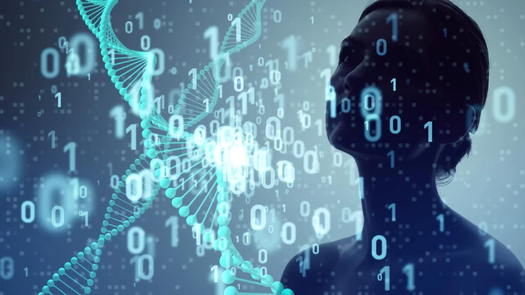 Apoios STEP Digital: Incentivos à Inovação em 2026